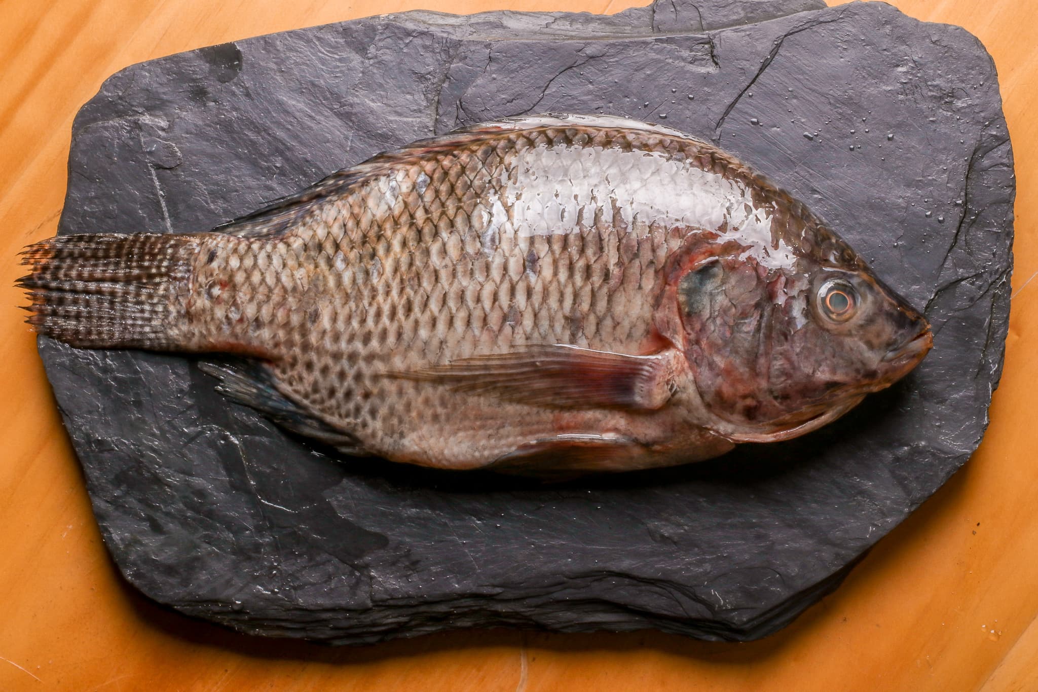 Tilapia fresca, producto del territorio